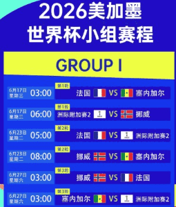 2026年世界杯足球赛精彩瞬间